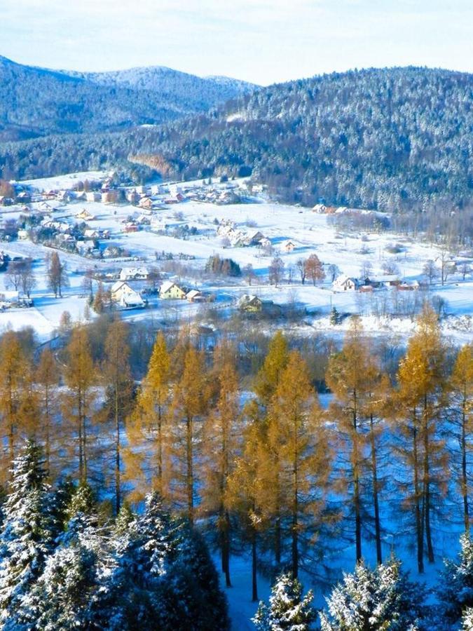 Готель Osrodek Uzdrowiskowy Beskid Висова-Здруй Екстер'єр фото